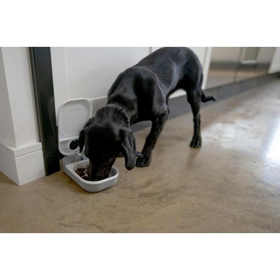 Cat Mate C300 Automatic 3 Meal Feeder, with Digital Timer for Cats and Small Dogs Cat Mate C300 Automatic 3 Meal Feeder, with Digital Timer for Cats and Small Dogs