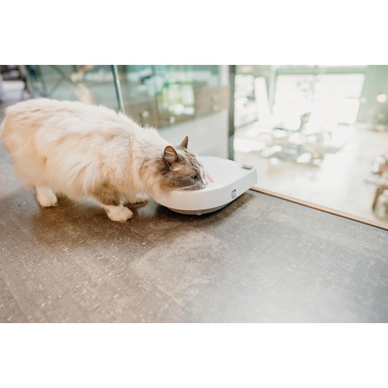 Cat Mate C300 Automatic 3 Meal Feeder, with Digital Timer for Cats and Small Dogs Cat Mate C300 Automatic 3 Meal Feeder, with Digital Timer for Cats and Small Dogs