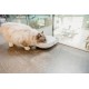 Cat Mate C300 Automatic 3 Meal Feeder, with Digital Timer for Cats and Small Dogs Cat Mate C300 Automatic 3 Meal Feeder, with Digital Timer for Cats and Small Dogs