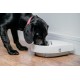 Cat Mate C300 Automatic 3 Meal Feeder, with Digital Timer for Cats and Small Dogs Cat Mate C300 Automatic 3 Meal Feeder, with Digital Timer for Cats and Small Dogs