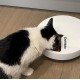 Cat Mate Stainless Steel Inserts x 5 for Automatic Five Meal Feeders (Bowls Only) Cat Mate Stainless Steel Inserts x 5 for Automatic Five Meal Feeders (Bowls Only)