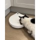 Cat Mate Stainless Steel Inserts x 5 for Automatic Five Meal Feeders (Bowls Only) Cat Mate Stainless Steel Inserts x 5 for Automatic Five Meal Feeders (Bowls Only)
