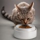 CatGuru Cat Bowls, Whiskers, Stress Free Cat Food Bowl, Relieves Whiskers Fatigue, Wide Cat Bowl, Flat Cat Bowl, Cat Feeding & Watering Supplies (Set of 2) Stainless Steel CatGuru Cat Bowls, Whiskers, Stress Free Cat Food Bowl, Relieves Whiskers Fatigue, Wide Cat Bowl, Flat Cat Bowl, Cat Feeding & Watering Supplies (Set of 2) Stainless Steel