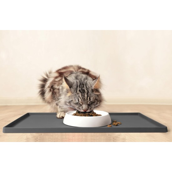 CatGuru Cat Bowls, Whiskers, Stress Free Cat Food Bowl, Relieves Whiskers Fatigue, Wide Cat Bowl, Flat Cat Bowl, Cat Feeding & Watering Supplies (Set of 2) Stainless Steel CatGuru Cat Bowls, Whiskers, Stress Free Cat Food Bowl, Relieves Whiskers Fatigue, Wide Cat Bowl, Flat Cat Bowl, Cat Feeding & Watering Supplies (Set of 2) Stainless Steel