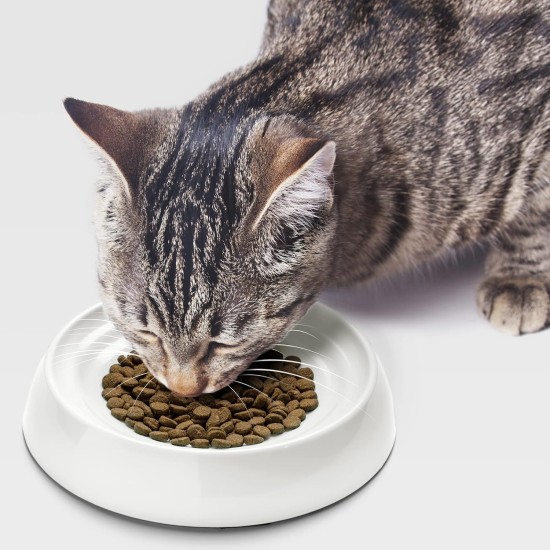 CatGuru Cat Bowls, Whiskers, Stress Free Cat Food Bowl, Relieves Whiskers Fatigue, Wide Cat Bowl, Flat Cat Bowl, Cat Feeding & Watering Supplies (Set of 2) Stainless Steel CatGuru Cat Bowls, Whiskers, Stress Free Cat Food Bowl, Relieves Whiskers Fatigue, Wide Cat Bowl, Flat Cat Bowl, Cat Feeding & Watering Supplies (Set of 2) Stainless Steel