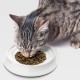 CatGuru Cat Bowls, Whiskers, Stress Free Cat Food Bowl, Relieves Whiskers Fatigue, Wide Cat Bowl, Flat Cat Bowl, Cat Feeding & Watering Supplies (Set of 2) Stainless Steel CatGuru Cat Bowls, Whiskers, Stress Free Cat Food Bowl, Relieves Whiskers Fatigue, Wide Cat Bowl, Flat Cat Bowl, Cat Feeding & Watering Supplies (Set of 2) Stainless Steel