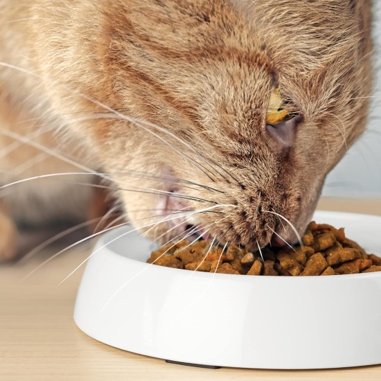 CatGuru Cat Bowls, Whiskers, Stress Free Cat Food Bowl, Relieves Whiskers Fatigue, Wide Cat Bowl, Flat Cat Bowl, Cat Feeding & Watering Supplies (Set of 2) Stainless Steel CatGuru Cat Bowls, Whiskers, Stress Free Cat Food Bowl, Relieves Whiskers Fatigue, Wide Cat Bowl, Flat Cat Bowl, Cat Feeding & Watering Supplies (Set of 2) Stainless Steel