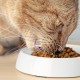 CatGuru Cat Bowls, Whiskers, Stress Free Cat Food Bowl, Relieves Whiskers Fatigue, Wide Cat Bowl, Flat Cat Bowl, Cat Feeding & Watering Supplies (Set of 2) Stainless Steel CatGuru Cat Bowls, Whiskers, Stress Free Cat Food Bowl, Relieves Whiskers Fatigue, Wide Cat Bowl, Flat Cat Bowl, Cat Feeding & Watering Supplies (Set of 2) Stainless Steel