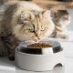 CatGuru Cat Bowls, Whiskers, Stress Free Cat Food Bowl, Relieves Whiskers Fatigue, Wide Cat Bowl, Flat Cat Bowl, Cat Feeding & Watering Supplies (Set of 2) Stainless Steel CatGuru Cat Bowls, Whiskers, Stress Free Cat Food Bowl, Relieves Whiskers Fatigue, Wide Cat Bowl, Flat Cat Bowl, Cat Feeding & Watering Supplies (Set of 2) Stainless Steel