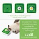Catit Mini Flower Fountain For Kittens
