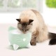 Catit Pixi Drinking Fountain for Cats, 2.5 L, White, Pack of 1 Catit Pixi Drinking Fountain for Cats, 2.5 L, White, Pack of 1
