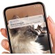 Catit Pixi Smart Drinking Fountain for Cats, Control via App, 2L Water Reservoir