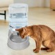 Cats Food Feeder - Self Serve Kobble Bowl System, Large Water Reservoir Kit, Worktop Pet Dispenser Device, Feeding Hydration Kit, Kittens, Puppies, Adults, Pets Meal Time Cats Food Feeder - Self Serve Kobble Bowl System, Large Water Reservoir Kit, Worktop Pet Dispenser Device, Feeding Hydration Kit, Kittens, Puppies, Adults, Pets Meal Time