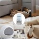Cats Food Feeder - Self Serve Kobble Bowl System, Large Water Reservoir Kit, Worktop Pet Dispenser Device, Feeding Hydration Kit, Kittens, Puppies, Adults, Pets Meal Time Cats Food Feeder - Self Serve Kobble Bowl System, Large Water Reservoir Kit, Worktop Pet Dispenser Device, Feeding Hydration Kit, Kittens, Puppies, Adults, Pets Meal Time