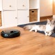 Cecotec Automatischer Futterautomat für Haustiere Pumba 1600 Purrfect Meal. Fassungsvermögen 1,6 l, 4 unabhängige Abschnitte, LED-Anzeige, Timer und Sprachrekorder Cecotec Automatischer Futterautomat für Haustiere Pumba 1600 Purrfect Meal. Fassungsvermögen 1,6 l, 4 unabhängige Abschnitte, LED-Anzeige, Timer und Sprachrekorder