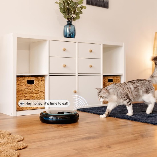Cecotec Trinkbrunnen Pumba 2500 Refresh Smart, Fassungsvermögen von 2,5L, Hochleistungsfilter, Steuerung über App, Kreislaufsystem, Reinigungs- und Filterwechselerinnerung Cecotec Trinkbrunnen Pumba 2500 Refresh Smart, Fassungsvermögen von 2,5L, Hochleistungsfilter, Steuerung über App, Kreislaufsystem, Reinigungs- und Filterwechselerinnerung