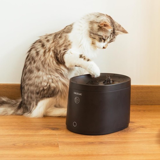 Cecotec Trinkbrunnen Pumba 2500 Refresh Smart, Fassungsvermögen von 2,5L, Hochleistungsfilter, Steuerung über App, Kreislaufsystem, Reinigungs- und Filterwechselerinnerung Cecotec Trinkbrunnen Pumba 2500 Refresh Smart, Fassungsvermögen von 2,5L, Hochleistungsfilter, Steuerung über App, Kreislaufsystem, Reinigungs- und Filterwechselerinnerung