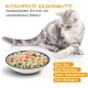 Ceramic Cat Feeding Bowl, Colourful Cat Bowls, Set of 6, Porcelain Cat Bowl, Cat Feeding Bowl, Cat Feeding Bowl, Cat Bowl, Flat Cat Plate, Cat Food Bowl Set, 250 ml Ceramic Cat Feeding Bowl, Colourful Cat Bowls, Set of 6, Porcelain Cat Bowl, Cat Feeding Bowl, Cat Feeding Bowl, Cat Bowl, Flat Cat Plate, Cat Food Bowl Set, 250 ml