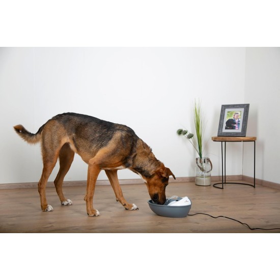 Classic Pet Fountain Classic Pet Fountain