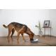 Classic Pet Fountain Classic Pet Fountain