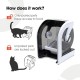 Closer Pets MiBowl Automatic Selective Microchip Pet Feeder (CP500) - BPA and BHT Free Closed Back Bowl for Small to Medium Cats and Small Dogs, White Closer Pets MiBowl Automatic Selective Microchip Pet Feeder (CP500) - BPA and BHT Free Closed Back Bowl for Small to Medium Cats and Small Dogs, White