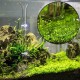 Comioke Shrimp Feeder Tube, Shrimp Feeder Tube, Aquarium Feeding Tube, Shrimp Feeder Bowl Set, Transparent, Acrylic, Aquarium Food Probe for Fish, Crab and Other Bottom Fish Comioke Shrimp Feeder Tube, Shrimp Feeder Tube, Aquarium Feeding Tube, Shrimp Feeder Bowl Set, Transparent, Acrylic, Aquarium Food Probe for Fish, Crab and Other Bottom Fish