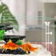 Comioke Shrimp Feeder Tube, Shrimp Feeder Tube, Aquarium Feeding Tube, Shrimp Feeder Bowl Set, Transparent, Acrylic, Aquarium Food Probe for Fish, Crab and Other Bottom Fish Comioke Shrimp Feeder Tube, Shrimp Feeder Tube, Aquarium Feeding Tube, Shrimp Feeder Bowl Set, Transparent, Acrylic, Aquarium Food Probe for Fish, Crab and Other Bottom Fish