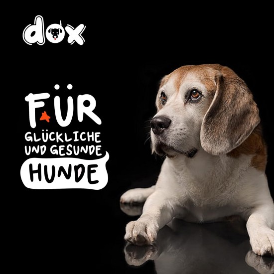 DDOXX Anti-Gulp Dog Bowl for Small & Large Dogs, Non-Slip, Many Colours & Sizes, Cat Food Bowl, Dog Bowl, Cat Bowl, Melamine Bowl DDOXX Anti-Gulp Dog Bowl for Small & Large Dogs, Non-Slip, Many Colours & Sizes, Cat Food Bowl, Dog Bowl, Cat Bowl, Melamine Bowl