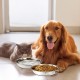 DEAYOU Cat Bowls Stainless Steel 7.7 Inch Metal Cat Food and Water Bowl 16 oz Simple Pet Bowl for Kitten Puppy Wide Flat Replacement Dog Bowl Raised Stand