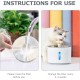 Dhohoo Cat Fountain Filter [Pack of 10], Drinking Fountain for Cat, Filter Cat Fountain, Replacement Filter Drinking Fountain for Cats and Dogs, Round, Drinking Fountain Filter for 2-2.5 L, White