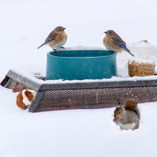 ENJOYING Heated Water Bowl, 2.2 L, Heated Drinking Trough for Rabbits, Dogs, Cats, Cold Day, Heated Chicken Drinker, Heated Water Bowl with Anti-Bite Power Line, Prevent Freezing ENJOYING Heated Water Bowl, 2.2 L, Heated Drinking Trough for Rabbits, Dogs, Cats, Cold Day, Heated Chicken Drinker, Heated Water Bowl with Anti-Bite Power Line, Prevent Freezing