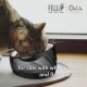 Felli Pet Whisker Fatigue Relief Angled Cat Wet Food Bowl Stainless Steel Flat Bowl Tilted Anti-Vomiting Measuring Free Oblique Wide Plate Raised Glass Acrylic for Small Dogs (0.5 Cups) Felli Pet Whisker Fatigue Relief Angled Cat Wet Food Bowl Stainless Steel Flat Bowl Tilted Anti-Vomiting Measuring Free Oblique Wide Plate Raised Glass Acrylic for Small Dogs (0.5 Cups)