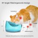 Felli Pet Whisker Fatigue Relief Angled Cat Wet Food Bowl Stainless Steel Flat Bowl Tilted Anti-Vomiting Measuring Free Oblique Wide Plate Raised Glass Acrylic for Small Dogs (0.5 Cups) Felli Pet Whisker Fatigue Relief Angled Cat Wet Food Bowl Stainless Steel Flat Bowl Tilted Anti-Vomiting Measuring Free Oblique Wide Plate Raised Glass Acrylic for Small Dogs (0.5 Cups)