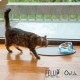 Felli Pet Whisker Fatigue Relief Angled Cat Wet Food Bowl Stainless Steel Flat Bowl Tilted Anti-Vomiting Measuring Free Oblique Wide Plate Raised Glass Acrylic for Small Dogs (0.5 Cups) Felli Pet Whisker Fatigue Relief Angled Cat Wet Food Bowl Stainless Steel Flat Bowl Tilted Anti-Vomiting Measuring Free Oblique Wide Plate Raised Glass Acrylic for Small Dogs (0.5 Cups)