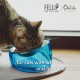Felli Pet Whisker Fatigue Relief Angled Cat Wet Food Bowl Stainless Steel Flat Bowl Tilted Anti-Vomiting Measuring Free Oblique Wide Plate Raised Glass Acrylic for Small Dogs (0.5 Cups) Felli Pet Whisker Fatigue Relief Angled Cat Wet Food Bowl Stainless Steel Flat Bowl Tilted Anti-Vomiting Measuring Free Oblique Wide Plate Raised Glass Acrylic for Small Dogs (0.5 Cups)