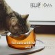 Felli Pet Whisker Fatigue Relief Angled Cat Wet Food Bowl Stainless Steel Flat Bowl Tilted Anti-Vomiting Measuring Free Oblique Wide Plate Raised Glass Acrylic for Small Dogs (0.5 Cups) Felli Pet Whisker Fatigue Relief Angled Cat Wet Food Bowl Stainless Steel Flat Bowl Tilted Anti-Vomiting Measuring Free Oblique Wide Plate Raised Glass Acrylic for Small Dogs (0.5 Cups)