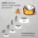 Felli Pet Whisker Fatigue Relief Angled Cat Wet Food Bowl Stainless Steel Flat Bowl Tilted Anti-Vomiting Measuring Free Oblique Wide Plate Raised Glass Acrylic for Small Dogs (0.5 Cups) Felli Pet Whisker Fatigue Relief Angled Cat Wet Food Bowl Stainless Steel Flat Bowl Tilted Anti-Vomiting Measuring Free Oblique Wide Plate Raised Glass Acrylic for Small Dogs (0.5 Cups)