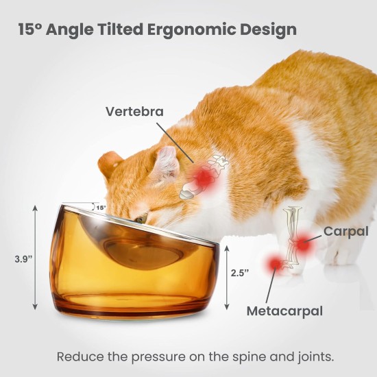 Felli Pet Whisker Fatigue Relief Angled Cat Wet Food Bowl Stainless Steel Flat Bowl Tilted Anti-Vomiting Measuring Free Oblique Wide Plate Raised Glass Acrylic for Small Dogs (0.5 Cups) Felli Pet Whisker Fatigue Relief Angled Cat Wet Food Bowl Stainless Steel Flat Bowl Tilted Anti-Vomiting Measuring Free Oblique Wide Plate Raised Glass Acrylic for Small Dogs (0.5 Cups)