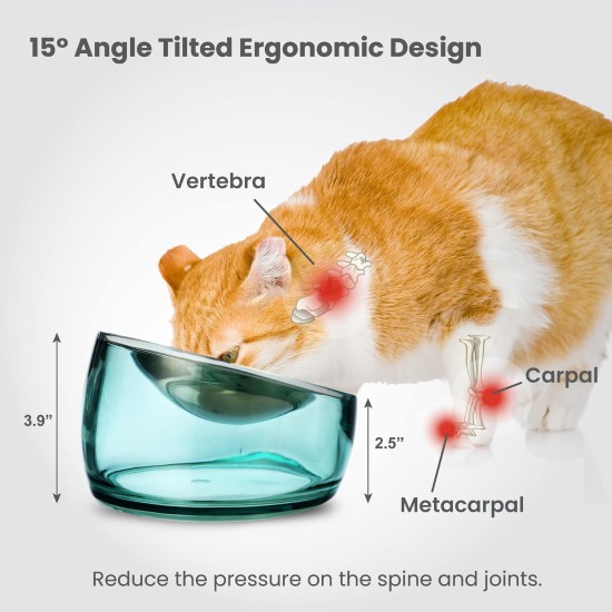 Felli Pet Whisker Fatigue Relief Angled Cat Wet Food Bowl Stainless Steel Flat Bowl Tilted Anti-Vomiting Measuring Free Oblique Wide Plate Raised Glass Acrylic for Small Dogs (0.5 Cups) Felli Pet Whisker Fatigue Relief Angled Cat Wet Food Bowl Stainless Steel Flat Bowl Tilted Anti-Vomiting Measuring Free Oblique Wide Plate Raised Glass Acrylic for Small Dogs (0.5 Cups)