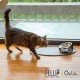 Felli Pet Whisker Fatigue Relief Angled Cat Wet Food Bowl Stainless Steel Flat Bowl Tilted Anti-Vomiting Measuring Free Oblique Wide Plate Raised Glass Acrylic for Small Dogs (0.5 Cups) Felli Pet Whisker Fatigue Relief Angled Cat Wet Food Bowl Stainless Steel Flat Bowl Tilted Anti-Vomiting Measuring Free Oblique Wide Plate Raised Glass Acrylic for Small Dogs (0.5 Cups)