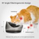 Felli Pet Whisker Fatigue Relief Angled Cat Wet Food Bowl Stainless Steel Flat Bowl Tilted Anti-Vomiting Measuring Free Oblique Wide Plate Raised Glass Acrylic for Small Dogs (0.5 Cups) Felli Pet Whisker Fatigue Relief Angled Cat Wet Food Bowl Stainless Steel Flat Bowl Tilted Anti-Vomiting Measuring Free Oblique Wide Plate Raised Glass Acrylic for Small Dogs (0.5 Cups)