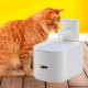Ferplast Astra Wireless Cat Fountain, Drinking Fountain for Cat, Rechargeable Cat Drinking Fountain with Motion Sensor, 3 L, Three-Stage Filter, USB-C Included Ferplast Astra Wireless Cat Fountain, Drinking Fountain for Cat, Rechargeable Cat Drinking Fountain with Motion Sensor, 3 L, Three-Stage Filter, USB-C Included