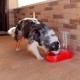 Ferplast Food or Water Dispenser for Dogs and Cats, Dry Food Dispenser, Water, Durable Plastic, Non Slip Base, White Ferplast Food or Water Dispenser for Dogs and Cats, Dry Food Dispenser, Water, Durable Plastic, Non Slip Base, White