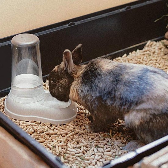 Ferplast Food or Water Dispenser for Dogs and Cats, Dry Food Dispenser, Water, Durable Plastic, Non Slip Base, White Ferplast Food or Water Dispenser for Dogs and Cats, Dry Food Dispenser, Water, Durable Plastic, Non Slip Base, White