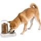 Ferplast Food or Water Dispenser for Dogs and Cats, Dry Food Dispenser, Water, Durable Plastic, Non Slip Base, White Ferplast Food or Water Dispenser for Dogs and Cats, Dry Food Dispenser, Water, Durable Plastic, Non Slip Base, White