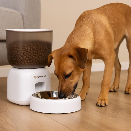 Flamingo Distributeur de Nourriture Blido Blanc - 3 L - Programmable - Pour Chiens et Chats Flamingo Distributeur de Nourriture Blido Blanc - 3 L - Programmable - Pour Chiens et Chats