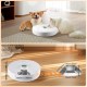 GAMKII Automatic Cat Wet Food Feeder 6 Meals with 2 Ice Packs, Battery Power Auto Pet Food Dispenser with Timer, Memory Function, Cats Small Dogs-First Meal with Cover (Stainless Steel Food Tray)
