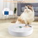 GAMKII Automatic Cat Wet Food Feeder 6 Meals with 2 Ice Packs, Battery Power Auto Pet Food Dispenser with Timer, Memory Function, Cats Small Dogs-First Meal with Cover (ABS Tray) GAMKII Automatic Cat Wet Food Feeder 6 Meals with 2 Ice Packs, Battery Power Auto Pet Food Dispenser with Timer, Memory Function, Cats Small Dogs-First Meal with Cover (ABS Tray)