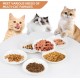 Galerie SV Set of 6 Cat Feeding Bowls - Cat Bowl Set - Ceramic Cat Bowl - Raised Cat Bowl - Cat Feeding Bowl - White (Fishbone Pattern) Galerie SV Set of 6 Cat Feeding Bowls - Cat Bowl Set - Ceramic Cat Bowl - Raised Cat Bowl - Cat Feeding Bowl - White (Fishbone Pattern)
