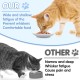 Galerie SV Set of 6 Cat Feeding Bowls - Cat Bowl Set - Ceramic Cat Bowl - Raised Cat Bowl - Cat Feeding Bowl - White (Fishbone Pattern) Galerie SV Set of 6 Cat Feeding Bowls - Cat Bowl Set - Ceramic Cat Bowl - Raised Cat Bowl - Cat Feeding Bowl - White (Fishbone Pattern)